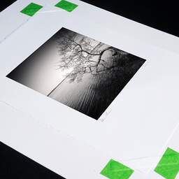 Art and collection photography Denis Olivier, Tree In Water, Etude 1, Azur Lake, France. March 2021. Ref-1413 - Denis Olivier Photography, original photographic print in limited edition and signed, print fixed before framing