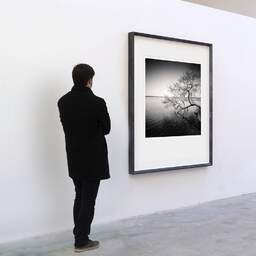 Art and collection photography Denis Olivier, Tree In Water, Etude 1, Azur Lake, France. March 2021. Ref-1413 - Denis Olivier Art Photography, A visitor contemplate a large original photographic art print in limited edition and signed in a black frame