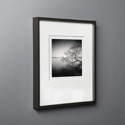 Art and collection photography Denis Olivier, Tree In Water, Etude 1, Azur Lake, France. March 2021. Ref-1413 - Denis Olivier Photography, black wood frame on gray background