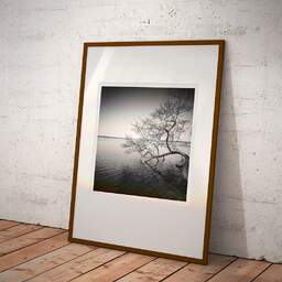 Art and collection photography Denis Olivier, Tree In Water, Etude 1, Azur Lake, France. March 2021. Ref-1413 - Denis Olivier Art Photography, Large original photographic art print in limited edition and signed framed in an brown wood frame