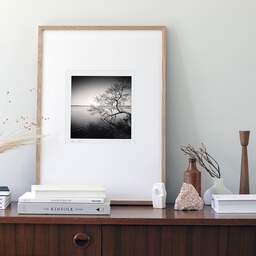Art and collection photography Denis Olivier, Tree In Water, Etude 1, Azur Lake, France. March 2021. Ref-1413 - Denis Olivier Art Photography, Original photographic art print in limited edition and signed framed in an 21.26