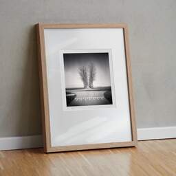 Art and collection photography Denis Olivier, Trees Alignment, Etude 1, Friesland, Netherlands. April 2015. Ref-1313 - Denis Olivier Photography, original fine-art photograph in limited edition and signed in light wood frame