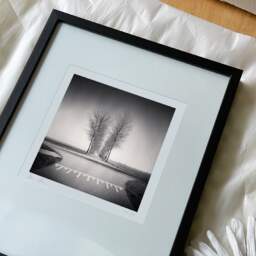 Art and collection photography Denis Olivier, Trees Alignment, Etude 1, Friesland, Netherlands. April 2015. Ref-1313 - Denis Olivier Art Photography, reception and unpacking of an original fine-art photograph in limited edition and signed in a black wooden frame