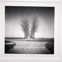 Art and collection photography Denis Olivier, Trees Alignment, Etude 1, Friesland, Netherlands. April 2015. Ref-1313 - Denis Olivier Art Photography, original photographic print in limited edition and signed, framed under cardboard mat