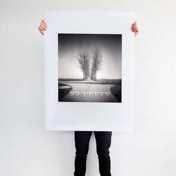Art and collection photography Denis Olivier, Trees Alignment, Etude 1, Friesland, Netherlands. April 2015. Ref-1313 - Denis Olivier Art Photography, Large original photographic art print in limited edition and signed tenu par un homme