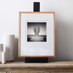 Art and collection photography Denis Olivier, Trees Alignment, Etude 1, Friesland, Netherlands. April 2015. Ref-1313 - Denis Olivier Photography, gallery exhibition with black frame