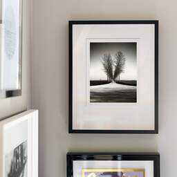 Art and collection photography Denis Olivier, Trees Alignment, Etude 2, Friesland, Netherlands. April 2015. Ref-11645 - Denis Olivier Art Photography, original fine-art photograph signed in limited edition in a black wooden frame with other images hung on the wall