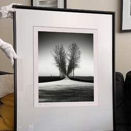 Art and collection photography Denis Olivier, Trees Alignment, Etude 2, Friesland, Netherlands. April 2015. Ref-11645 - Denis Olivier Photography, large original 9 x 9 inches fine-art photograph print in limited edition and signed hold by a galerist woman