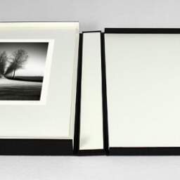 Art and collection photography Denis Olivier, Trees Alignment, Etude 2, Friesland, Netherlands. April 2015. Ref-11645 - Denis Olivier Photography, photograph with matte folding in a luxury book presentation box