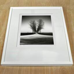 Art and collection photography Denis Olivier, Trees Alignment, Etude 2, Friesland, Netherlands. April 2015. Ref-11645 - Denis Olivier Photography, white frame on a wooden table