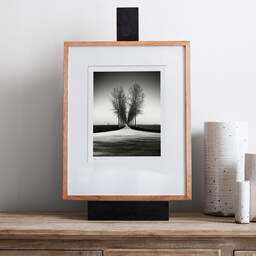 Art and collection photography Denis Olivier, Trees Alignment, Etude 2, Friesland, Netherlands. April 2015. Ref-11645 - Denis Olivier Art Photography, gallery exhibition with black frame