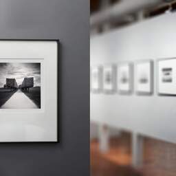Art and collection photography Denis Olivier, Trees Alley, Château De Chambord Garden, France. August 2021. Ref-11484 - Denis Olivier Photography, gallery exhibition with black frame