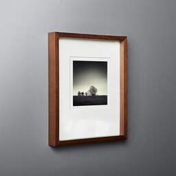 Art and collection photography Denis Olivier, Trees, Hosh, England. April 2006. Ref-975 - Denis Olivier Art Photography, original fine-art photograph in limited edition and signed in dark wood frame