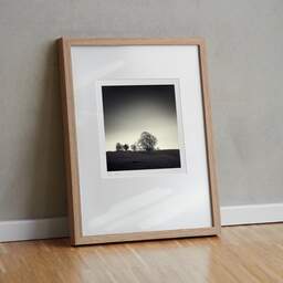 Art and collection photography Denis Olivier, Trees, Hosh, England. April 2006. Ref-975 - Denis Olivier Art Photography, original fine-art photograph in limited edition and signed in light wood frame