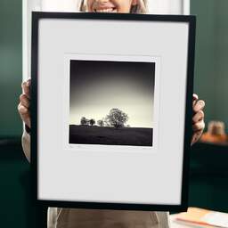 Art and collection photography Denis Olivier, Trees, Hosh, England. April 2006. Ref-975 - Denis Olivier Art Photography, original 9 x 9 inches fine-art photograph print in limited edition and signed hold by a galerist woman