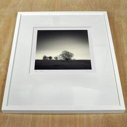 Art and collection photography Denis Olivier, Trees, Hosh, England. April 2006. Ref-975 - Denis Olivier Photography, white frame on a wooden table