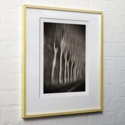 Art and collection photography Denis Olivier, Trees In Motion, South-West Road, France. December 2003. Ref-1328 - Denis Olivier Art Photography, light wood frame on white wall