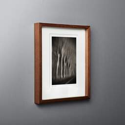Art and collection photography Denis Olivier, Trees In Motion, South-West Road, France. December 2003. Ref-1328 - Denis Olivier Photography, original fine-art photograph in limited edition and signed in dark wood frame
