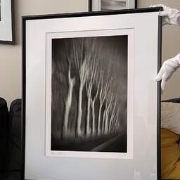 Art and collection photography Denis Olivier, Trees In Motion, South-West Road, France. December 2003. Ref-1328 - Denis Olivier Photography, large original 9 x 9 inches fine-art photograph print in limited edition and signed hold by a galerist woman