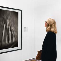 Art and collection photography Denis Olivier, Trees In Motion, South-West Road, France. December 2003. Ref-1328 - Denis Olivier Art Photography, A woman contemplate a large original photographic art print in limited edition and signed in a black frame
