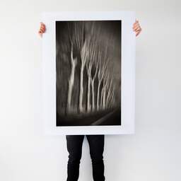 Art and collection photography Denis Olivier, Trees In Motion, South-West Road, France. December 2003. Ref-1328 - Denis Olivier Art Photography, Large original photographic art print in limited edition and signed tenu par un homme