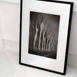 Art and collection photography Denis Olivier, Trees In Motion, South-West Road, France. December 2003. Ref-1328 - Denis Olivier Art Photography, Original photographic art print in limited edition and signed framed in an 27.56