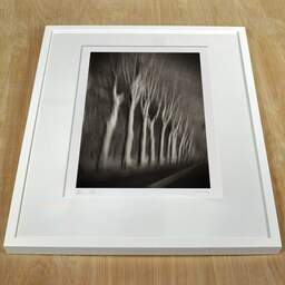 Art and collection photography Denis Olivier, Trees In Motion, South-West Road, France. December 2003. Ref-1328 - Denis Olivier Photography, white frame on a wooden table