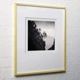 Art and collection photography Denis Olivier, Trees On The Hillside, Ordesa Y Monte Perdido National Park, Spain. February 2022. Ref-11529 - Denis Olivier Art Photography, light wood frame on white wall