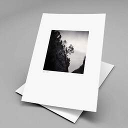 Art and collection photography Denis Olivier, Trees On The Hillside, Ordesa Y Monte Perdido National Park, Spain. February 2022. Ref-11529 - Denis Olivier Photography, original fine-art photograph print in limited edition and signed