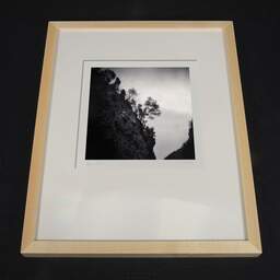 Art and collection photography Denis Olivier, Trees On The Hillside, Ordesa Y Monte Perdido National Park, Spain. February 2022. Ref-11529 - Denis Olivier Photography, light wood frame on dark background