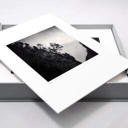 Art and collection photography Denis Olivier, Trees On The Hillside, Ordesa Y Monte Perdido National Park, Spain. February 2022. Ref-11529 - Denis Olivier Art Photography, large original 15.7 x 15.7 inches fine-art photograph print in limited edition, Leica M7 film 24x36 camera
