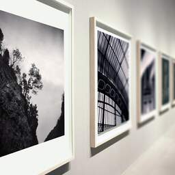 Art and collection photography Denis Olivier, Trees On The Hillside, Ordesa Y Monte Perdido National Park, Spain. February 2022. Ref-11529 - Denis Olivier Art Photography, Large original photographic art print in limited edition and signed during an exhibition