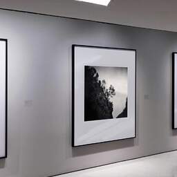 Art and collection photography Denis Olivier, Trees On The Hillside, Ordesa Y Monte Perdido National Park, Spain. February 2022. Ref-11529 - Denis Olivier Art Photography, Exhibition of a large original photographic art print in limited edition and signed