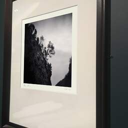 Art and collection photography Denis Olivier, Trees On The Hillside, Ordesa Y Monte Perdido National Park, Spain. February 2022. Ref-11529 - Denis Olivier Photography, brown wood old frame on dark gray background