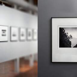 Art and collection photography Denis Olivier, Trees On The Hillside, Ordesa Y Monte Perdido National Park, Spain. February 2022. Ref-11529 - Denis Olivier Photography, gallery exhibition with black frame