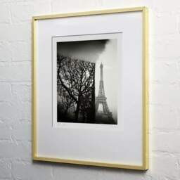 Art and collection photography Denis Olivier, Trimmed Trees, Champ De Mars, Paris, France. February 2022. Ref-11661 - Denis Olivier Photography, light wood frame on white wall