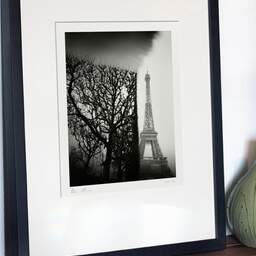 Art and collection photography Denis Olivier, Trimmed Trees, Champ De Mars, Paris, France. February 2022. Ref-11661 - Denis Olivier Photography, gallery exhibition with black frame