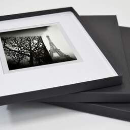 Art and collection photography Denis Olivier, Trimmed Trees, Champ De Mars, Paris, France. February 2022. Ref-11661 - Denis Olivier Photography, original fine-art photograph in limited edition and signed in a folding and archival conservation box