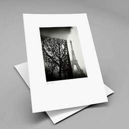 Art and collection photography Denis Olivier, Trimmed Trees, Champ De Mars, Paris, France. February 2022. Ref-11661 - Denis Olivier Photography, original fine-art photograph print in limited edition and signed