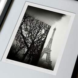 Art and collection photography Denis Olivier, Trimmed Trees, Champ De Mars, Paris, France. February 2022. Ref-11661 - Denis Olivier Photography, large original 9 x 9 inches fine-art photograph print in limited edition, framed and signed