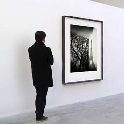 Art and collection photography Denis Olivier, Trimmed Trees, Champ De Mars, Paris, France. February 2022. Ref-11661 - Denis Olivier Photography, A visitor contemplate a large original photographic art print in limited edition and signed in a black frame