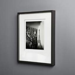 Art and collection photography Denis Olivier, Trimmed Trees, Champ De Mars, Paris, France. February 2022. Ref-11661 - Denis Olivier Photography, black wood frame on gray background