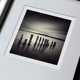 Art and collection photography Denis Olivier, Twelve Poles, Bunchrew House, Beauly Firth, Scotland. April 2006. Ref-956 - Denis Olivier Photography, large original 9 x 9 inches fine-art photograph print in limited edition, framed and signed