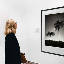 Art and collection photography Denis Olivier, Two Palm Trees In The Sun, Otorohanga District, Waikato, New Zealand. July 2018. Ref-11651 - Denis Olivier Photography, A woman contemplate a large original photographic art print in limited edition and signed in a black frame