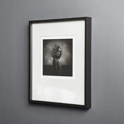 Art and collection photography Denis Olivier, Untitled. January 2010. Ref-1233 - Denis Olivier Photography, black wood frame on gray background