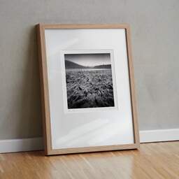 Art and collection photography Denis Olivier, Wet Fields, Aydat, Puy-de-Dôme, Auvergne, France. December 2021. Ref-11521 - Denis Olivier Art Photography, original fine-art photograph in limited edition and signed in light wood frame