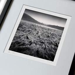 Art and collection photography Denis Olivier, Wet Fields, Aydat, Puy-de-Dôme, Auvergne, France. December 2021. Ref-11521 - Denis Olivier Photography, large original 9 x 9 inches fine-art photograph print in limited edition, framed and signed