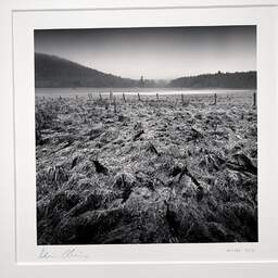 Art and collection photography Denis Olivier, Wet Fields, Aydat, Puy-de-Dôme, Auvergne, France. December 2021. Ref-11521 - Denis Olivier Art Photography, original photographic print in limited edition and signed, framed under cardboard mat