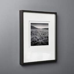 Art and collection photography Denis Olivier, Wet Fields, Aydat, Puy-de-Dôme, Auvergne, France. December 2021. Ref-11521 - Denis Olivier Photography, black wood frame on gray background