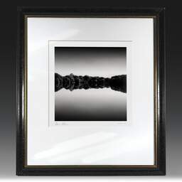 Art and collection photography Denis Olivier, Woods At Dusk, Sandun Ponds, Guérande, Brière. August 2020. Ref-1351 - Denis Olivier Photography, original fine-art photograph in limited edition and signed in black and gold wood frame